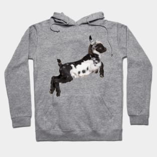 Bouncing Baby Goat 3 Hoodie